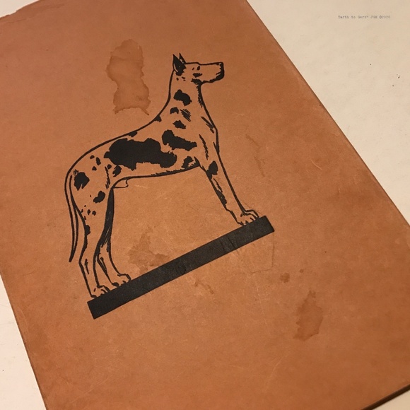 The Great Dane By D.E. Hale. 1938 Second Edition. Collectible Vintage. Hardback. - Picture 9 of 10
